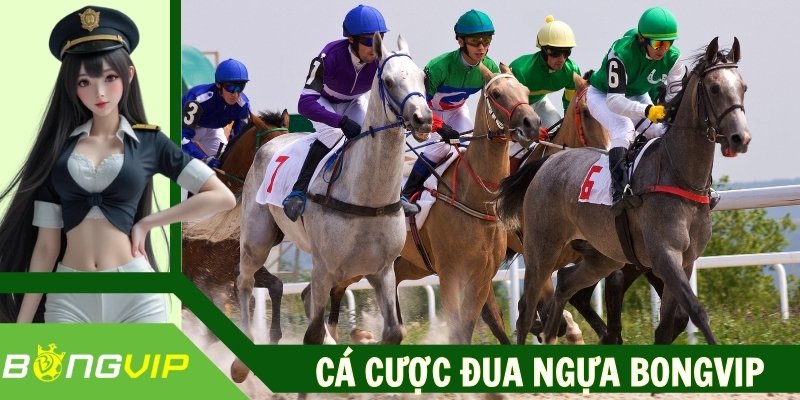 Cá Cược Đua Ngựa Bongvip – Trải Nghiệm Giải Trí Cực Đã