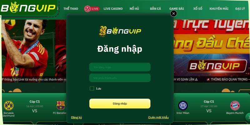 Cung cấp thông tin đăng nhập Bongvip chính xác 