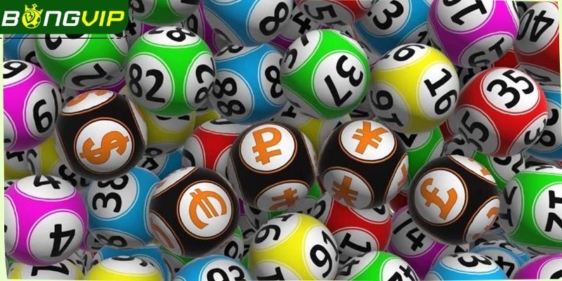 Kinh nghiệm nâng tầm cơ hội giật giải từ chuyên gia