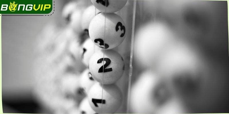 Một vài chú ý quan trọng khi ứng dụng nuôi đề 70 con