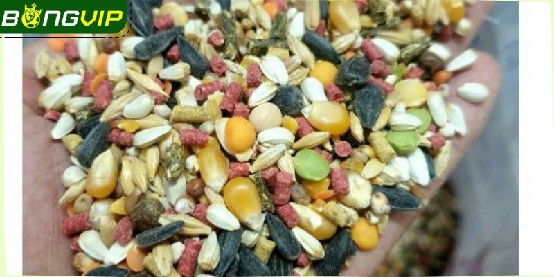 Nắm rõ lưu ý trong nhóm dinh dưỡng của kiến kê