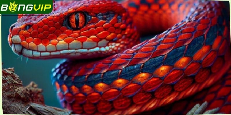 Những lưu ý quan trọng khi chọn số theo giấc mơ